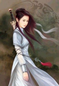 將軍，夫人被俘了